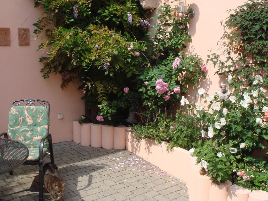 Haus Am Markt Apartment *